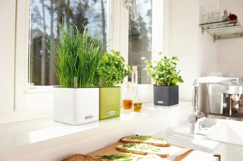 13584 Кашпо LECHUZA Кьюб Колор 16 Серый с системой полива фото 4