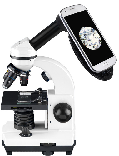 Микроскоп Bresser Junior Biolux SEL 40–1600x, белый, в кейсе фото 9