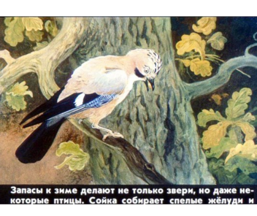 Набор диафильмов из 10 шт в ассортименте  фото 9