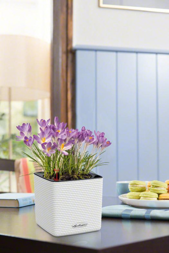 13380 Кашпо LECHUZA Кьюб Колор 14  Белый с системой полива фото 4