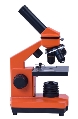 Микроскоп Levenhuk Rainbow 2L NG Orange\Апельсин фото 8