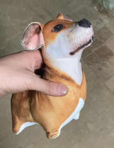 Мягкая игрушка собака Корги 30 см фото 4