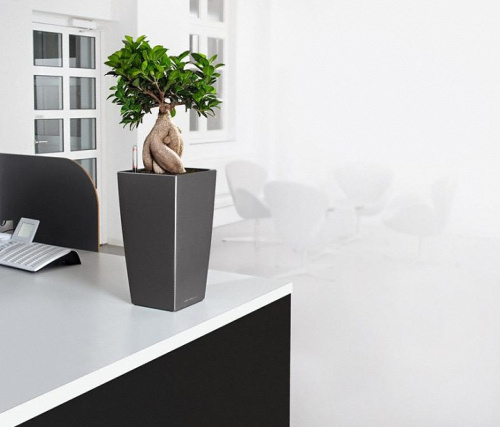 18477 Кашпо Кубико 22 Кофе с системой полива фото 2