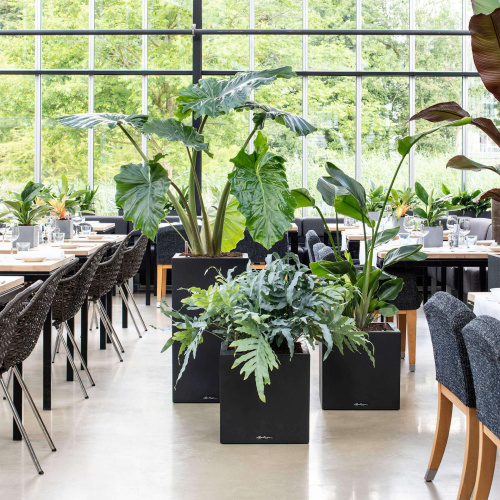 13702 Кашпо LECHUZA Канто Стоун  30 куб. графитовый черный фото 4