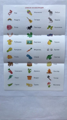 Учебно-игровой комплект "Найди пару. Звук Р" фото 4