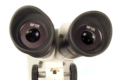 Микроскоп Levenhuk 2ST, бинокулярный фото 3