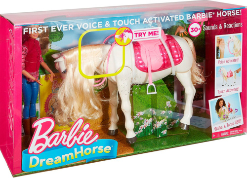 Barbie FRV36 (DREAMHORSE FTF02) Барби Кукла и лошадь мечты фото 11