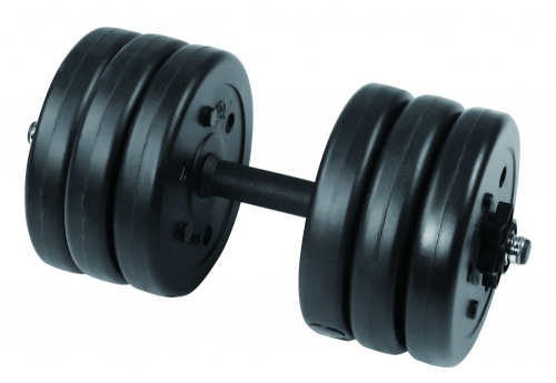 2315LW Гантель сборная Lite Weights 15.5 кг х 1шт