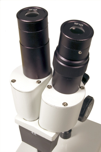 Микроскоп Levenhuk 2ST, бинокулярный фото 4