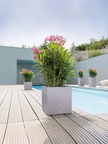 13700 Кашпо LECHUZA Канто Стоун 30 куб. Серый фото 2